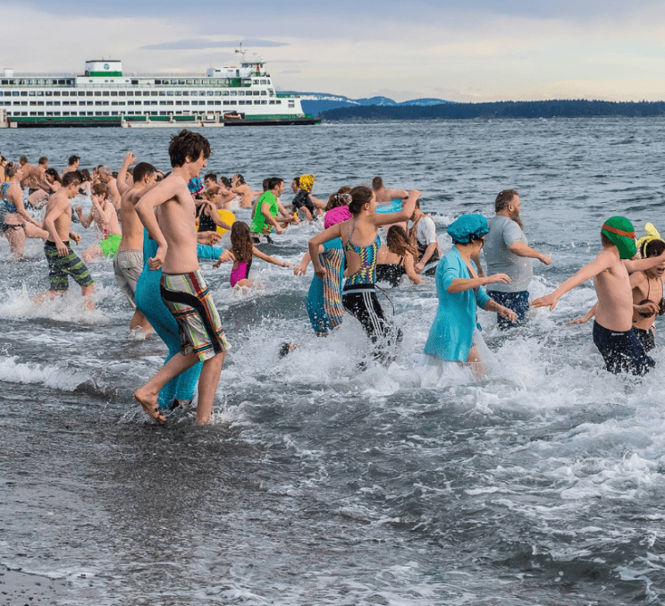 polar-bear-swim