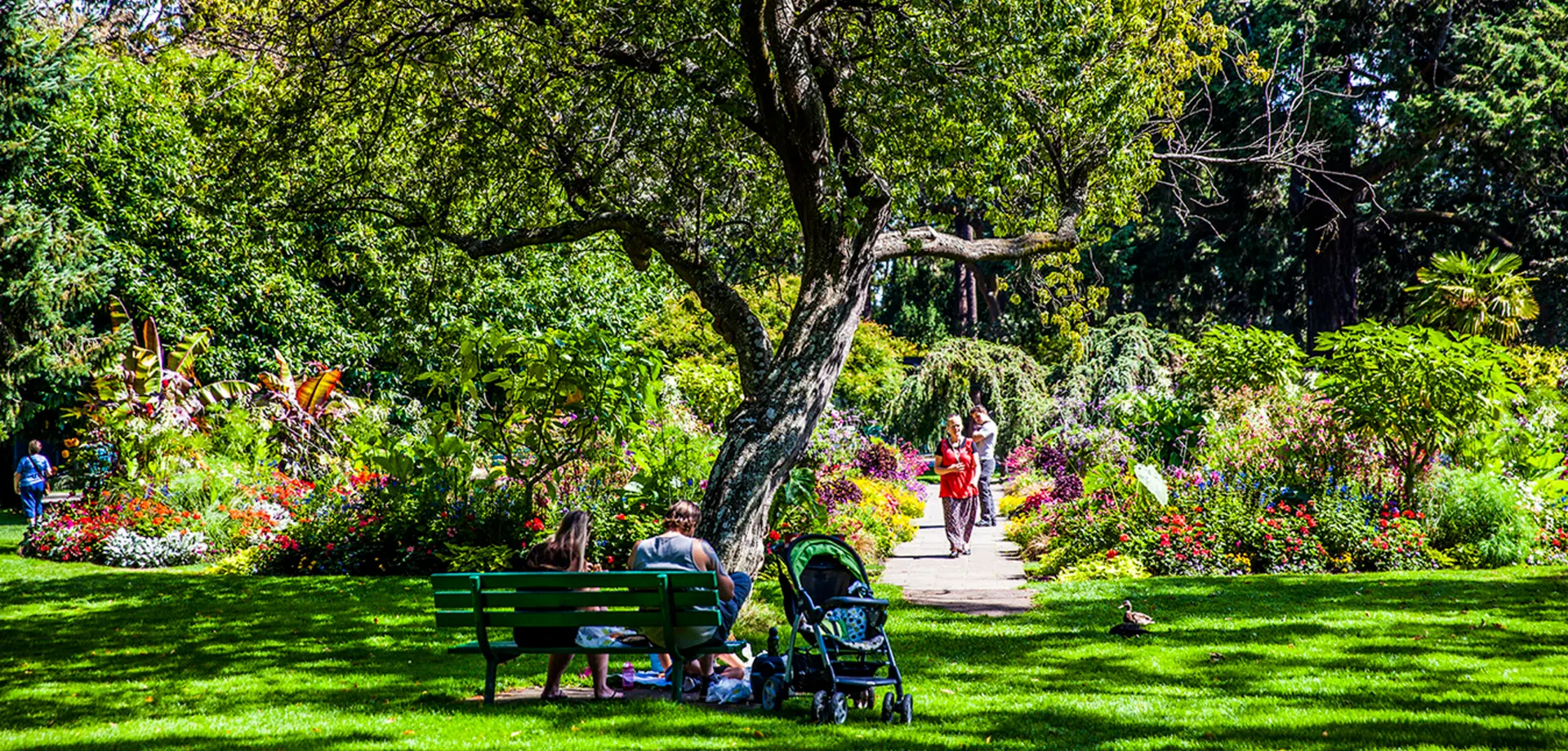 Beacon Hill Park
